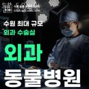 돌봄 동물병원 | 수원 우만동 동물병원 돌봄 동물병원 진료시간 접근성 이용후기