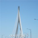 진성토건 이미지