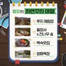 용화목장 이미지