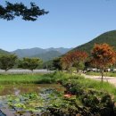 실상사앞 이미지