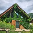 숲속 황토방 펜션 이미지