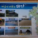 두바다찬솔 이미지