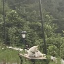 새파랑길 펜션 | [2025] 3박 4일 영덕-울진여행(2일차-그리가다/다람쥐키친/새파랑길펜션/후포공설시장)