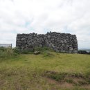 협자연대 이미지