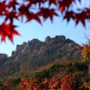 유달산 이미지