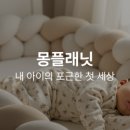삼삼식당 네이버블로그