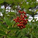 열매약국 이미지