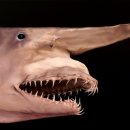 화이트블럭 이미지