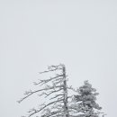 지리산 - 부천시 소사구 은성로 40 | 지리산