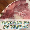 영진횟집 | 울산 | 핵가성비 방어맛집 ‘영진횟집’ 내돈내산 포장 후기