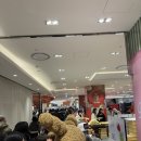 초록담기 | 부산 서면 팝업 프랑스 루브르바게트 웨이팅 후 골라담기 솔직후기