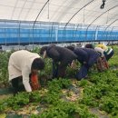 완주한우협동조합 고산미소육가공센터 이미지