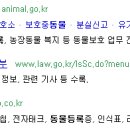 코아동물병원 이미지