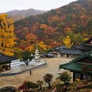 용문사 - 1144 | 용문사