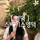 [ 영덕여행 ] 영덕 글램핑 추천! 오션뷰와 24시간 무인매점이 편했던 스페이스영덕 후기