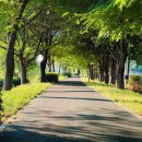 오학 걷고싶은거리 이미지