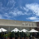 메밀정원 | 대구 서재 맛집 메밀정원 | 가성비 + 분위기 다 잡은 한식당 맛집 (내돈내산)