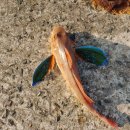 로하스콘도 | 거제도 여행_ #거제#펜션#몽돌해수욕장