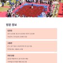 곡성-025 티스토리