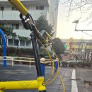 도그팡 | 포켓20 최종형태