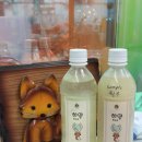제성 | [동대문]서울 공방 데이트_여우굴