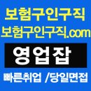 보험사, 보험영업사원 청년 구직자 모집 경쟁 인기 직종 뜬다 이미지