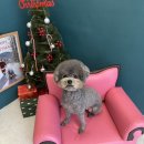 홀리몰리살롱 이미지