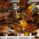 동춘농장 이미지