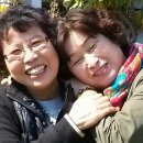 김미자농장 이미지