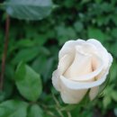 금광여관 이미지