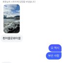 나의 부박함도 시간이 용서하기를
