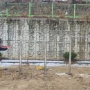 은봉초등학교 병설유치원 이미지