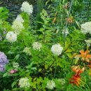 오늘, 정원 이미지