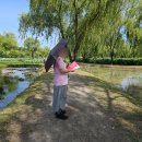 서동푸드 | 부여 궁남지 팝업스토어 푸드트럭 불꽃놀이 서동 연꽃축제 후기