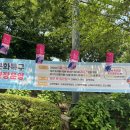 (주)밀리어스 | 울산 장생포 수국축제 수국페스티벌 포토존 주차장 금요일 26일 개화 공연 방문후기