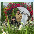 용서(容恕,Forgiveness 이미지