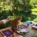수안보중학교