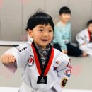 고려인성태권도 이미지