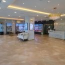 도그마루 강아지고양이 평택점 | 평택강아지분양 도그마루 강아지고양이 평택점 다녀온 솔직 후기💖