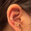 (주)셀비오 | 귀침패치 추천, 셀비오 이어밸런스 귀 지압 패치 사용 후기 | 일상 컨디션 관리 찐 사용 후기