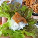 혜성갈비 이미지