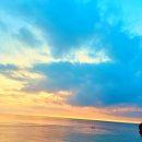 봄날약국 이미지