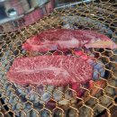 (주)콜로리 이미지