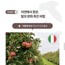 리보플라 이미지
