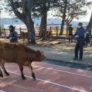 화흥초등학교 이미지