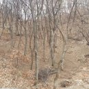 치악산농원