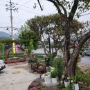 자연추어탕 | 전남 보성 몸보신 추어탕 맛집 미꾸미꾸 신규오픈 방문 후기