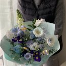 버터플라이 포메 이미지