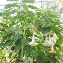 평생교육문화센터 이미지