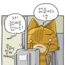 오랑 이미지